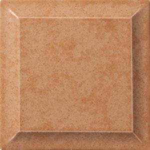 Cotta (61655)